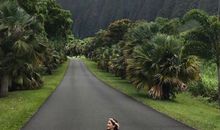 旅游形容开心的句子说说心情短语