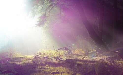 用感恩的心感到人生的一句话