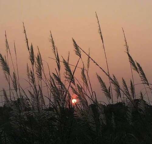 晚安句子谈心情1