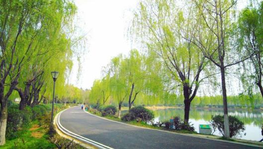 在公园里快乐的句子