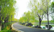 在公园玩的开心句子