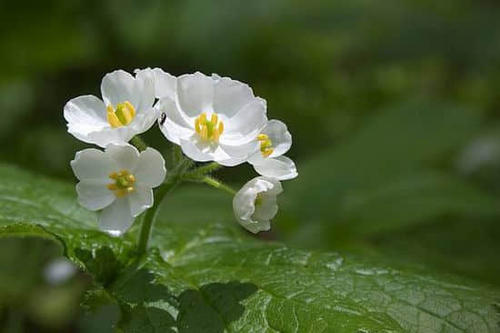 你让我开心的一句话2