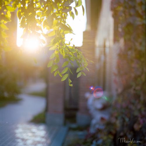 孩子们快乐的句子2