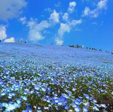 鼓励孩子快乐的句子1