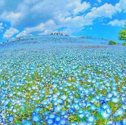 鼓励孩子快乐的句子