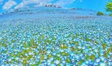 鼓励孩子开心的句子