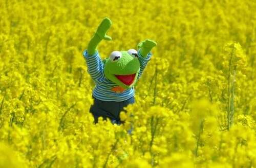 一整套美丽而温暖的句子2