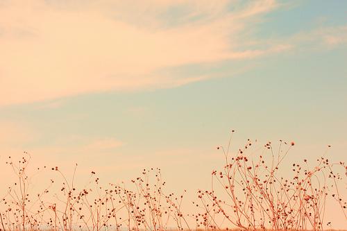 关于人生感悟的语录1