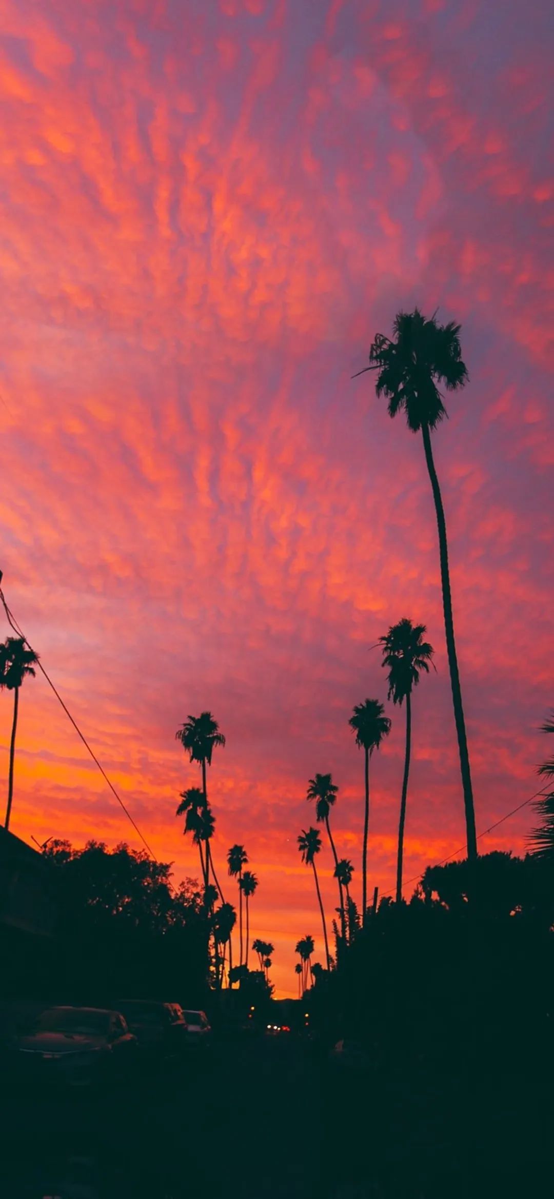 关于自己生活的句子2