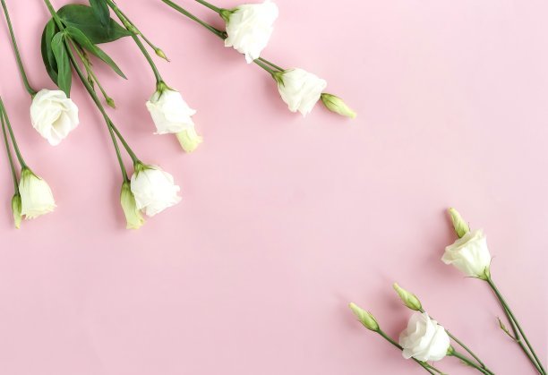 小姐感人的句子