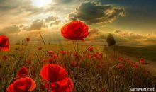 自信快乐的英文句子