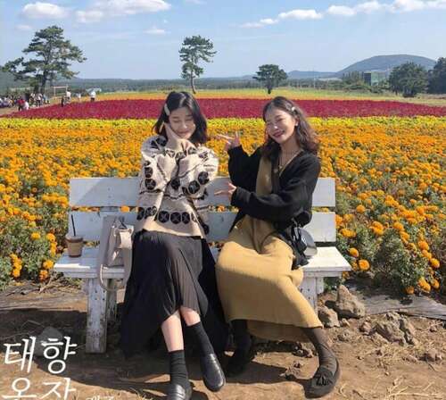 关于心情愉快的鲜花的句子