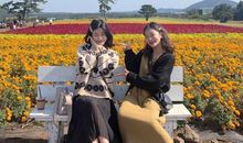 关于花开心情好的句子