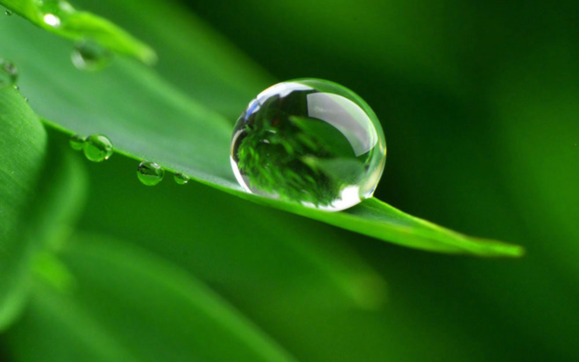 感动幸福的声明