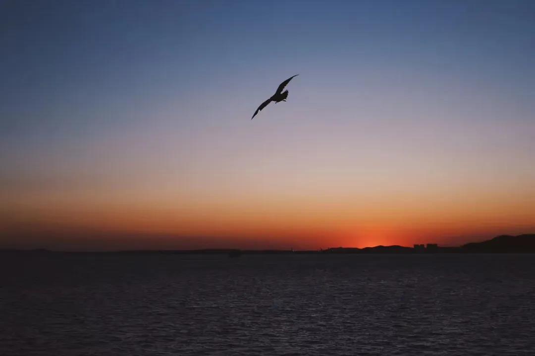 2020励志晚安心语正能量2