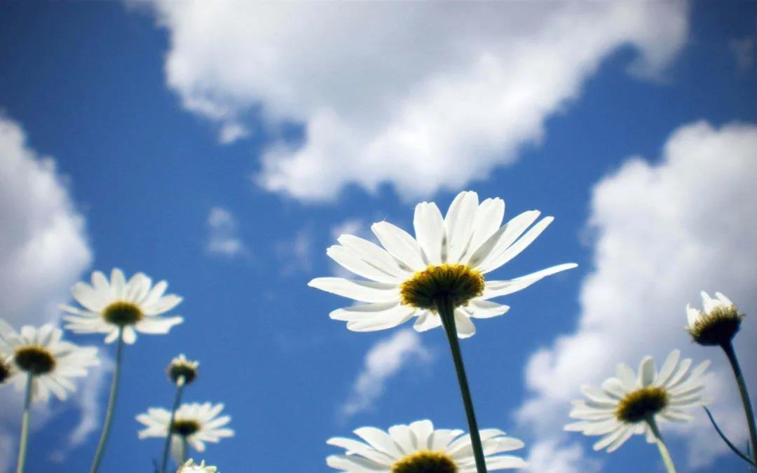 都印宝玛必须开除刑罚1