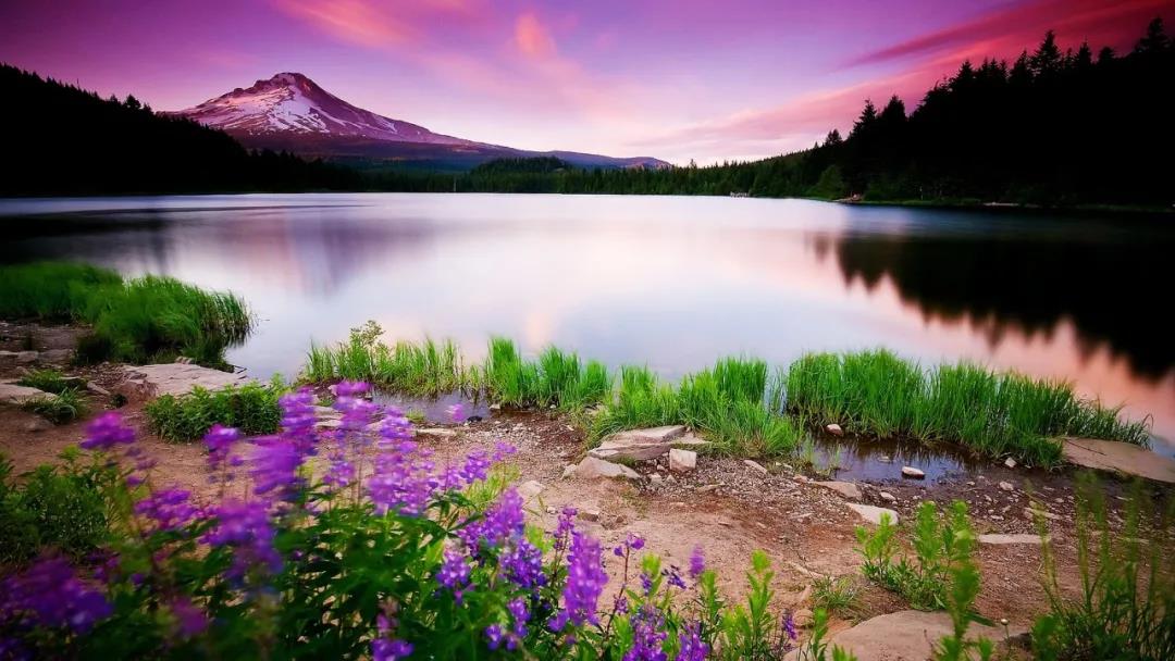 颤音宝宝妈妈的句子