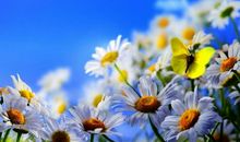 感悟幸福生活的句子