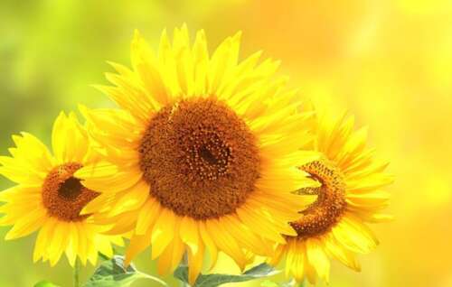 关于感激相遇和祝福的哲学句子