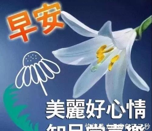 老板的职业问候