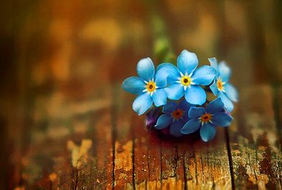 关于友谊的句子