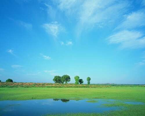 一句话描述夏天的炎热