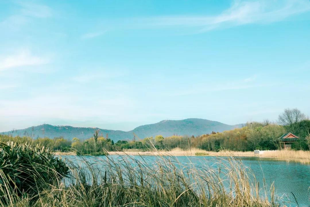 谢谢你父母的辛苦