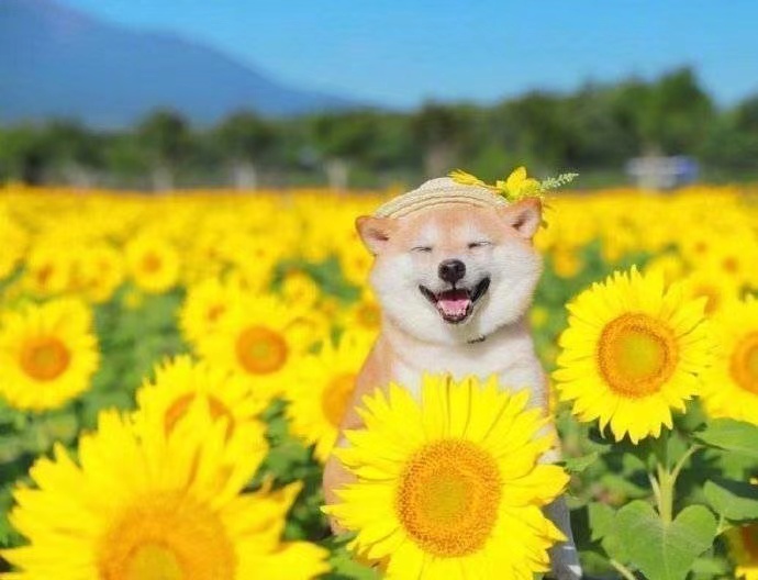 幽默幽默的句子1