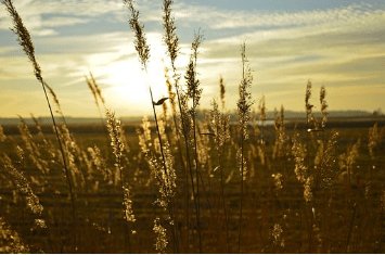 悲伤而失望的声明2