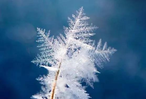 关于晓雪美丽诗句的古诗1