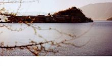 抖音精辟洒脱句子