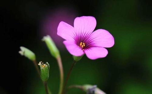 关于生活的时刻