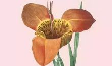 生活所迫的人生感悟句