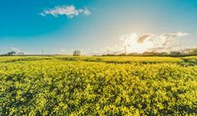 热爱祖国的正能量句子