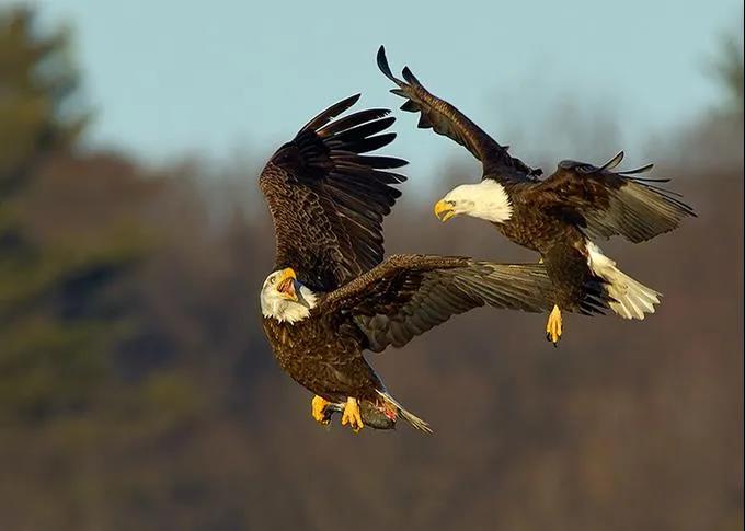 无动于衷的短句1