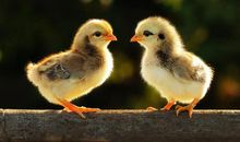 看淡一切的句子简短