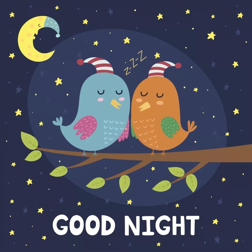 2020年全新晚安句子