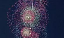 牛年新春祝福贺词