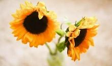 低谷期时安慰自己的文案