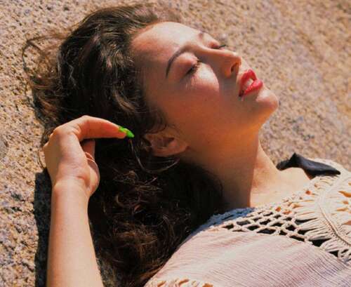 牛年的新年问候