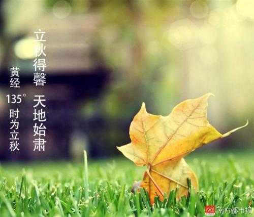 今天立秋给Moments发了信息