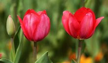 开心快乐幽默句子