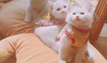 三观很正的宝藏文案