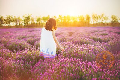 积极的爱情句子