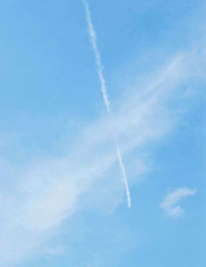 赞美牛勤奋朴实的诗歌