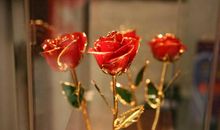 希望你幸福开心的句子