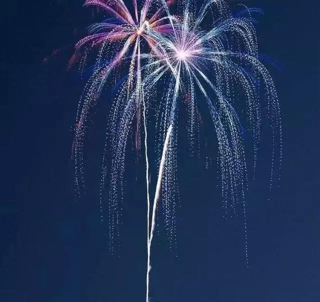 2021年春节和牛年的祝福