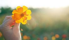 开心简单随心的句子