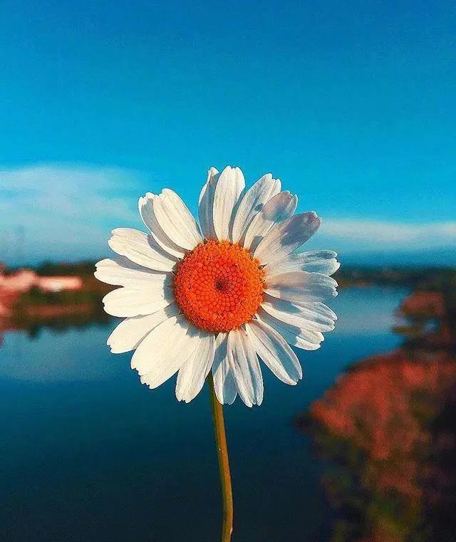 轻视生命霸气的句子1