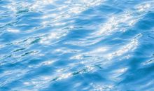 关于牛的句子经典语录